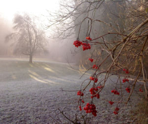 Przymrozki -1°C w nocy, właśnie się zaczyna. Tutaj spadnie deszcz