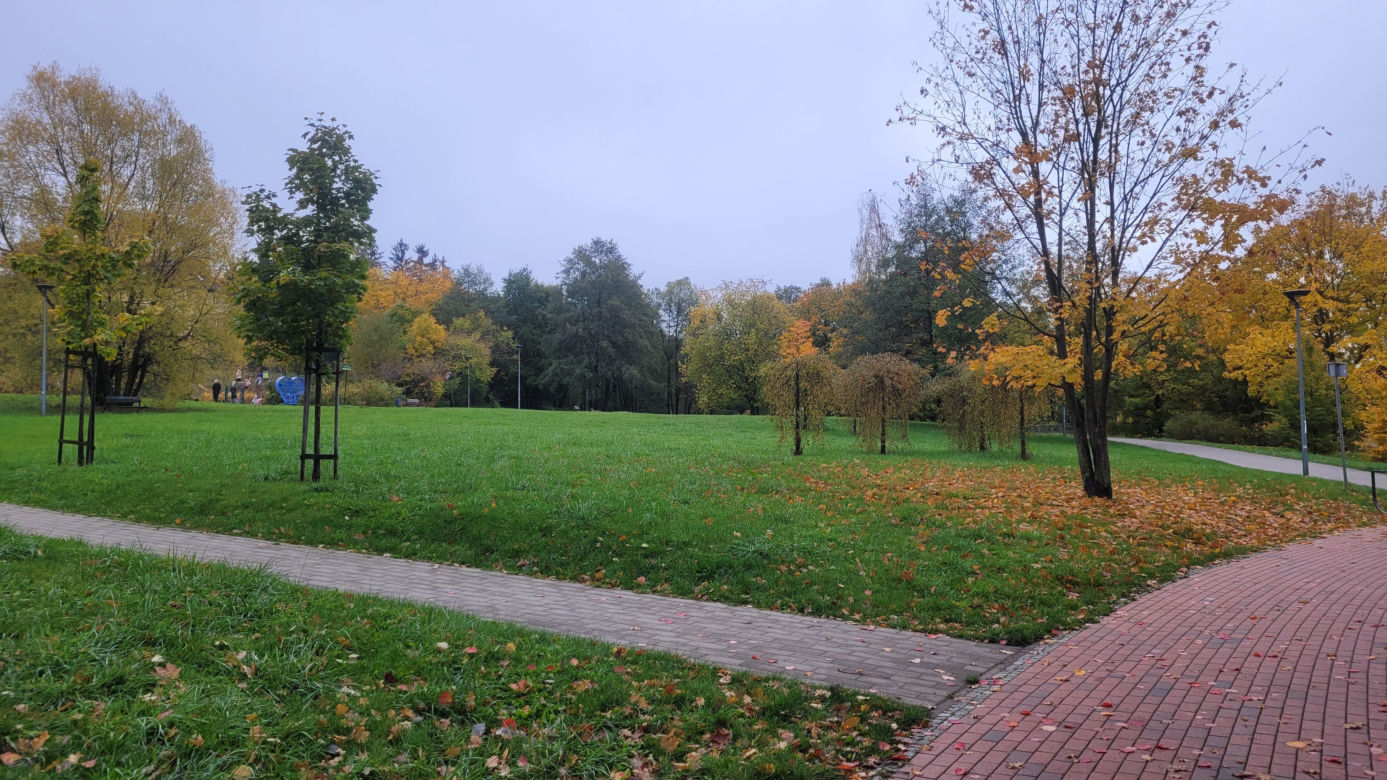To najlepszy park w Olsztynie na jesienny spacer. Wyboru dokonała sztuczna inteligencja