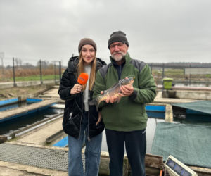 Karp z Rytwian na wigilijnym stole