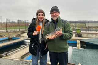 Karp z Rytwian na wigilijnym stole