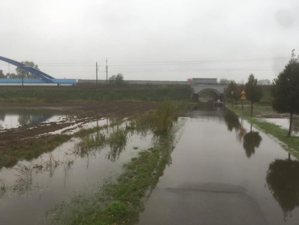 Opole: Fala wezbraniowa na Odrze. Podtopienia w Czarnowąsach, Wróblinie i Opolu