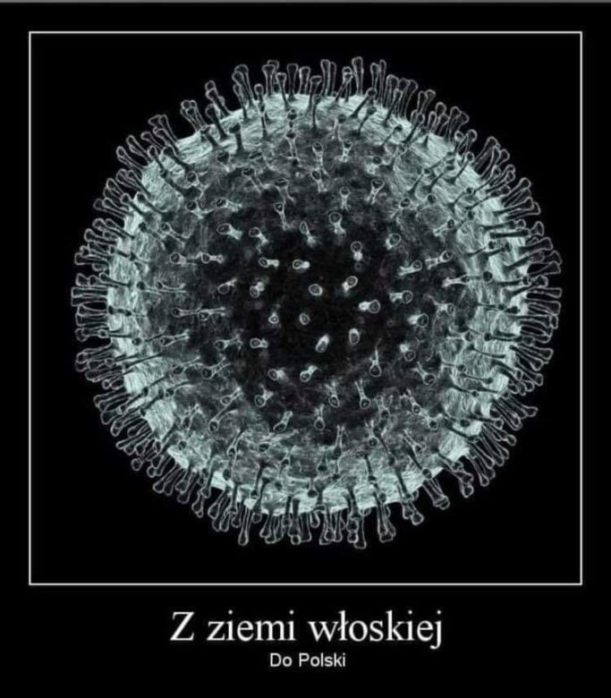 Koronawirus dotarł do Polski. Jest pierwszy przypadek. Zobacz najlepsze memy