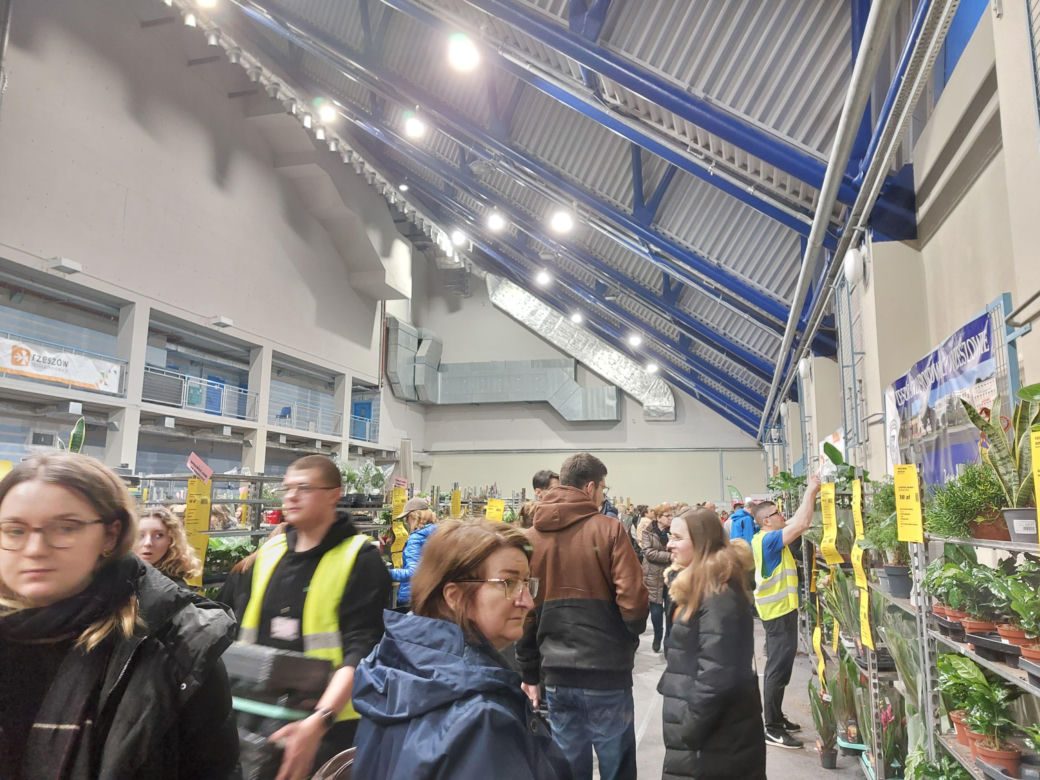 Festiwal Roślin w Rzeszowie [GALERIA]
