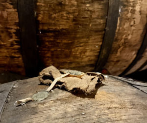 Winiarnia H.M. Borges  w Funchal