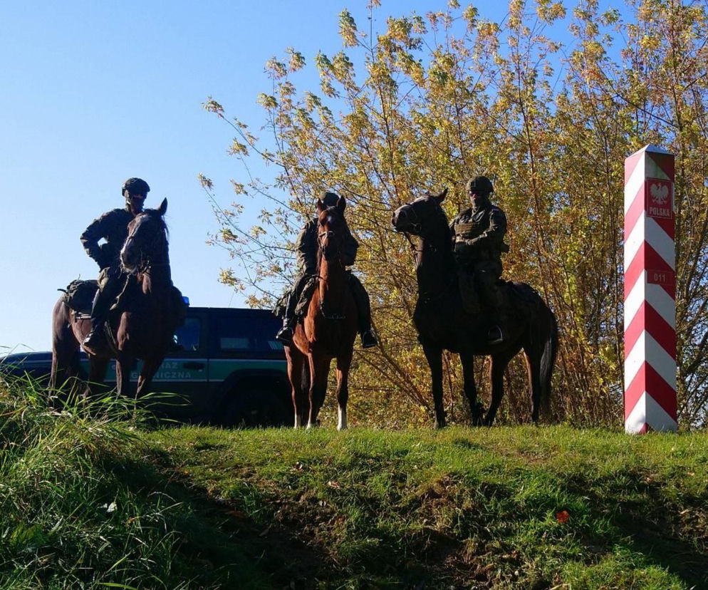 Terytorialsi na… koniach. Tak patrolują granicę! To zupełna nowość