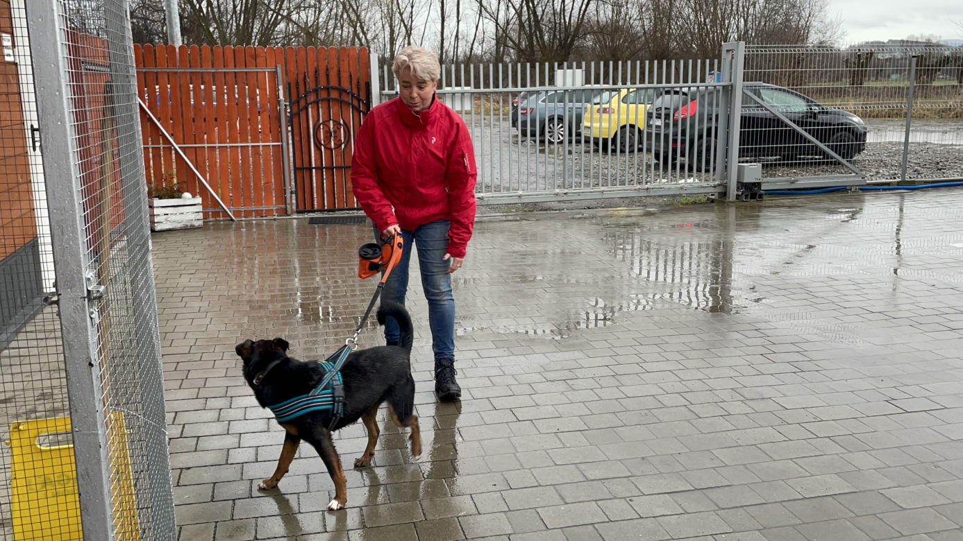 Dzień otwarty w schronisku dla zwierząt w Nowym Sączu