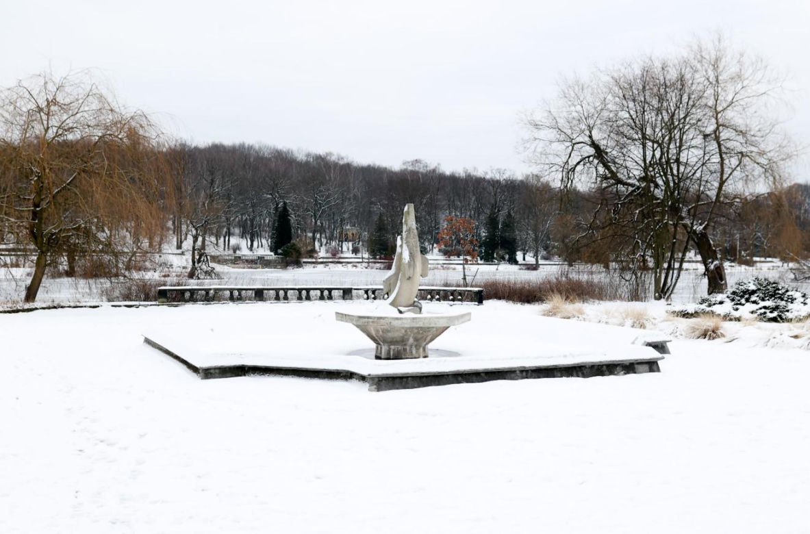 Tam jest jak w bajce! Park Śląski zimą na fotografiach 