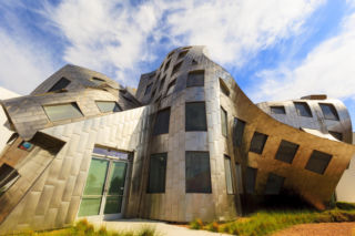 Szpital psychiatryczny w Las Vegas, projekt Frank Gehry
