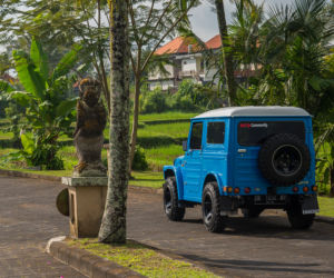 Suzuki LJ