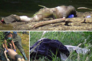 Czarna seria utonięć na Mazowszu! Woda zabiła 9 osób w ciągu 4 dni