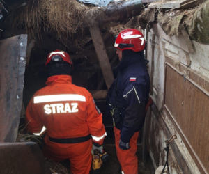 Dach stodoły runął pod naporem śniegu. W środku były zwierzęta