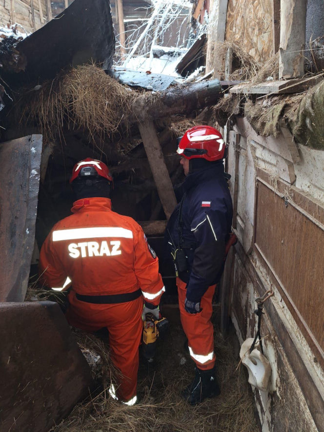 Dach stodoły runął pod naporem śniegu. W środku były zwierzęta