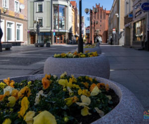 Olsztyn wraca do życia. Mimo epidemii centrum miasta rozkwita