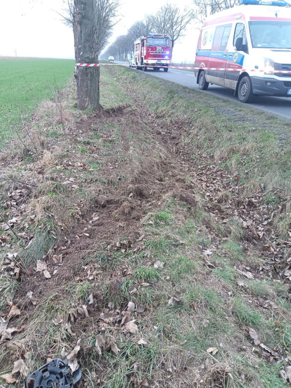 Śmiertelny wypadek pod Wschową! 49-latka nie miała szans po uderzeniu w drzewo i dachowaniu [ZDJĘCIA].