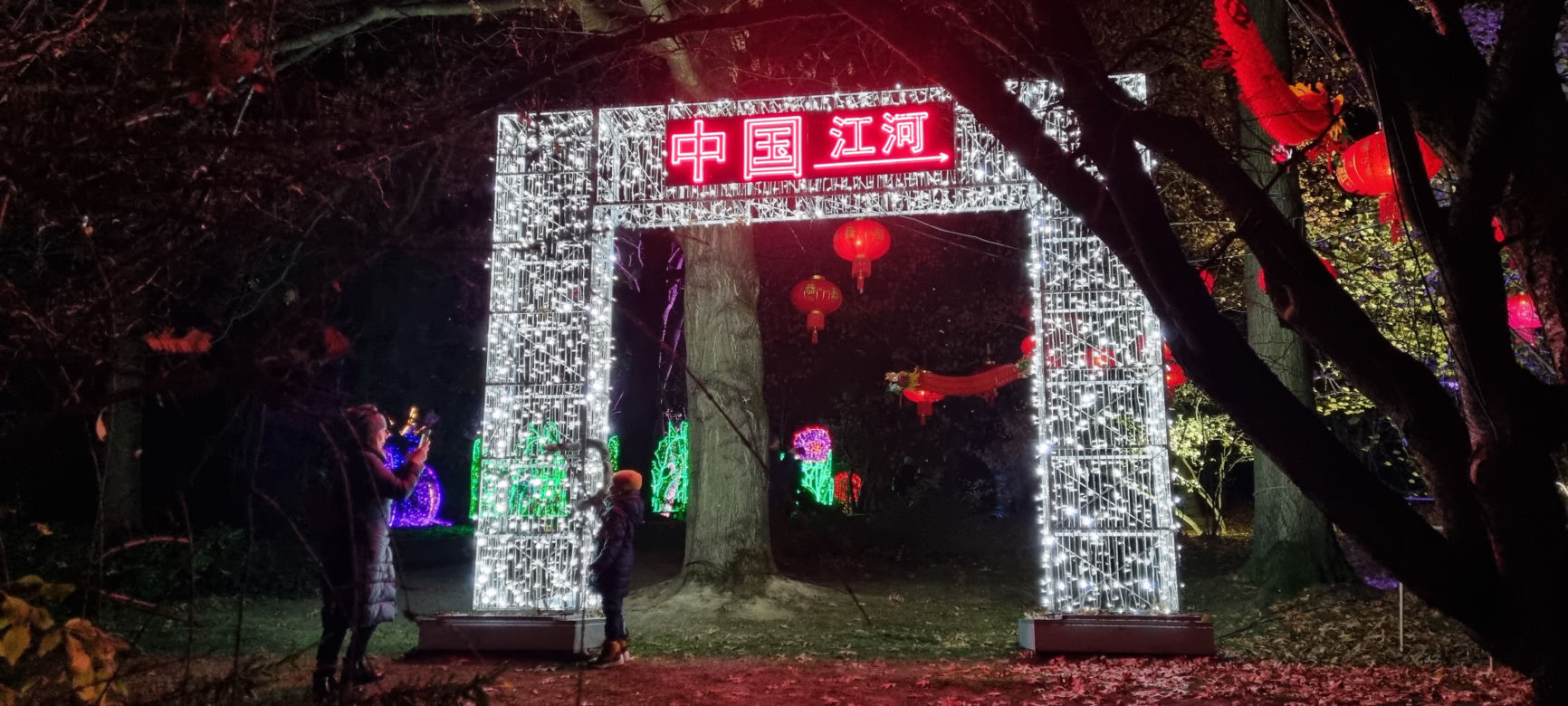 Ogród Botaniczny po zmroku zamienia się w magiczny ogród [GALERIA]