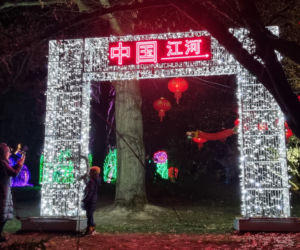 Ogród Botaniczny po zmroku zamienia się w magiczny ogród [GALERIA]