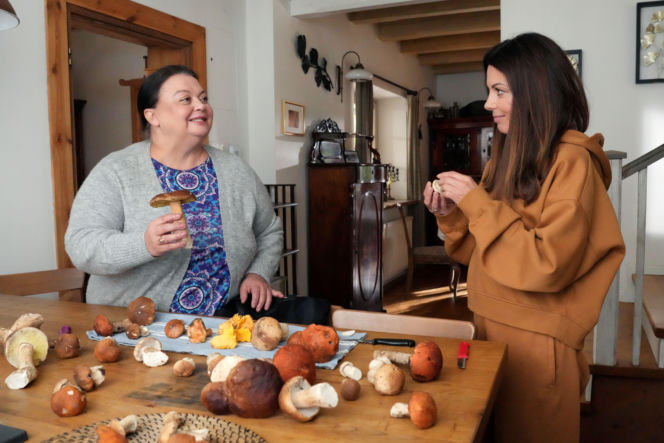 Barwy szczęścia odc. 3326