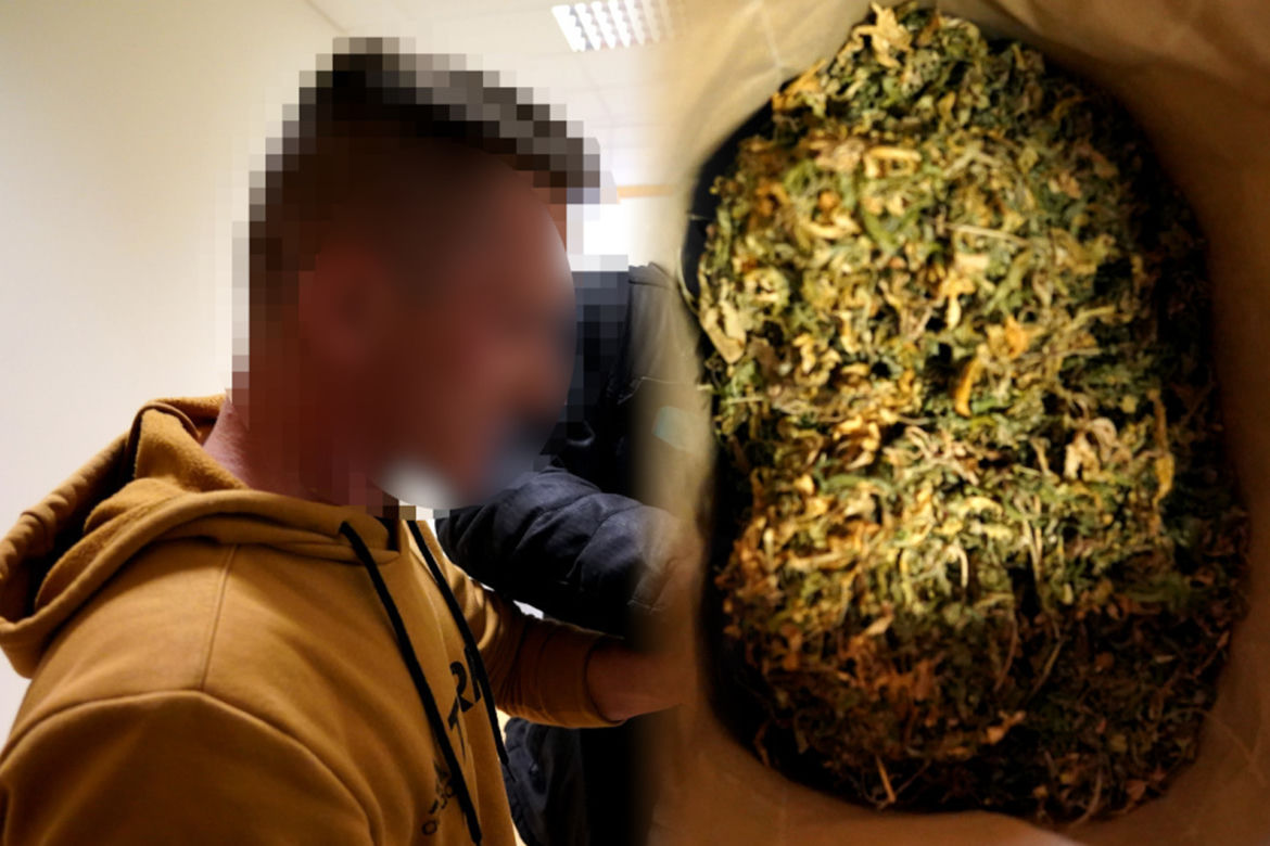 Wielki narkobiznes pod Warszawą. Ponad 100 kilogramów narkotyków i 13 zatrzymanych