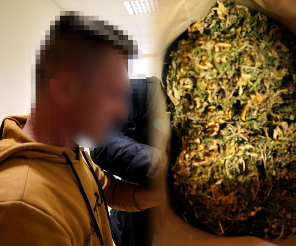 Wielki narkobiznes pod Warszawą. Ponad 100 kilogramów narkotyków i 13 zatrzymanych