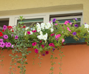 Najpiękniejsze balkony w Starachowicach