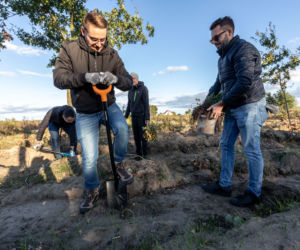 Rafał Mądry i Maciej Gis - sadzenie drzew w Czarnowie