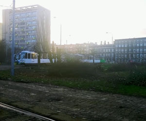 Torowa rewolucja: wycinka drzew na pętli Pomorzany i likwidacja działek