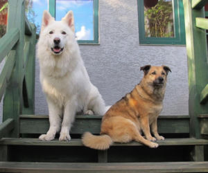 Małgorzata Ostrowska