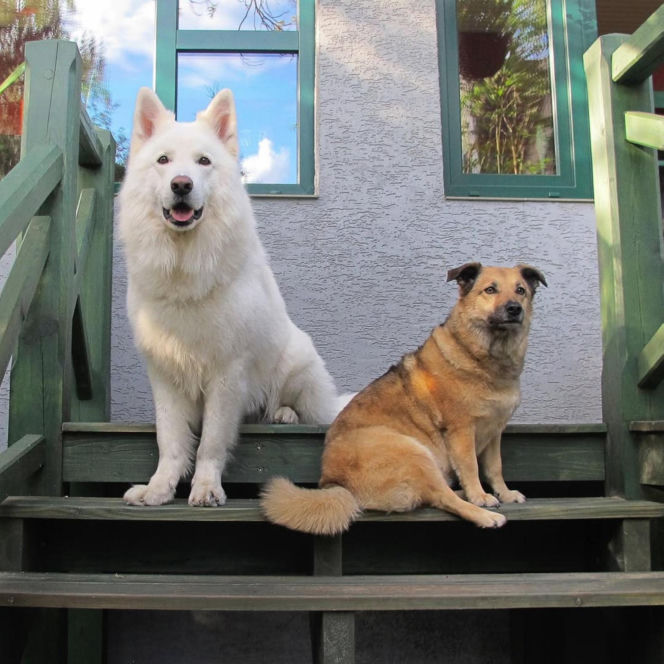 Małgorzata Ostrowska