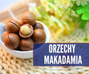 Czego nie może jeść pies? Te rzeczy mogą mu poważnie zaszkodzić! [LISTA]