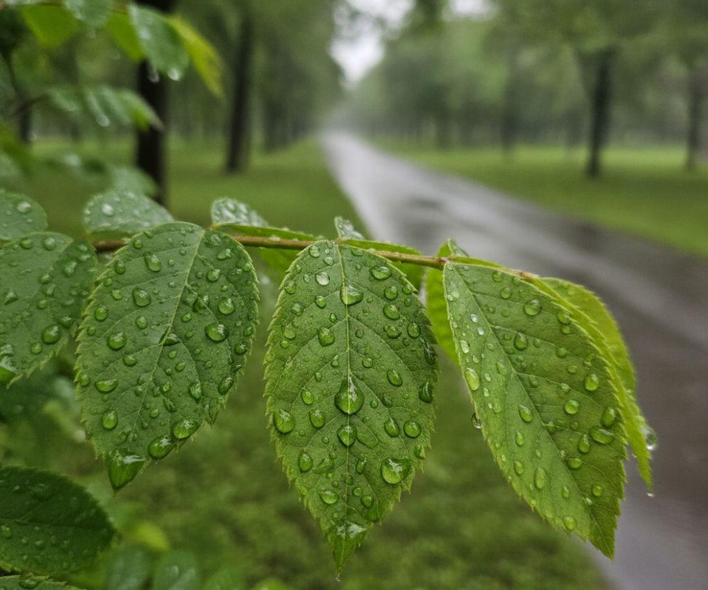 Weekend w Gorzowie Wielkopolskim pokaże dwa oblicza. Niedziela przyniesie zmianę w pogodzie