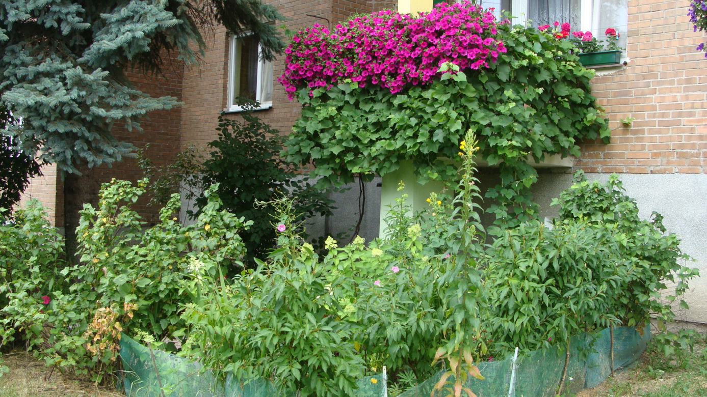 Najpiękniejsze balkony w Starachowicach