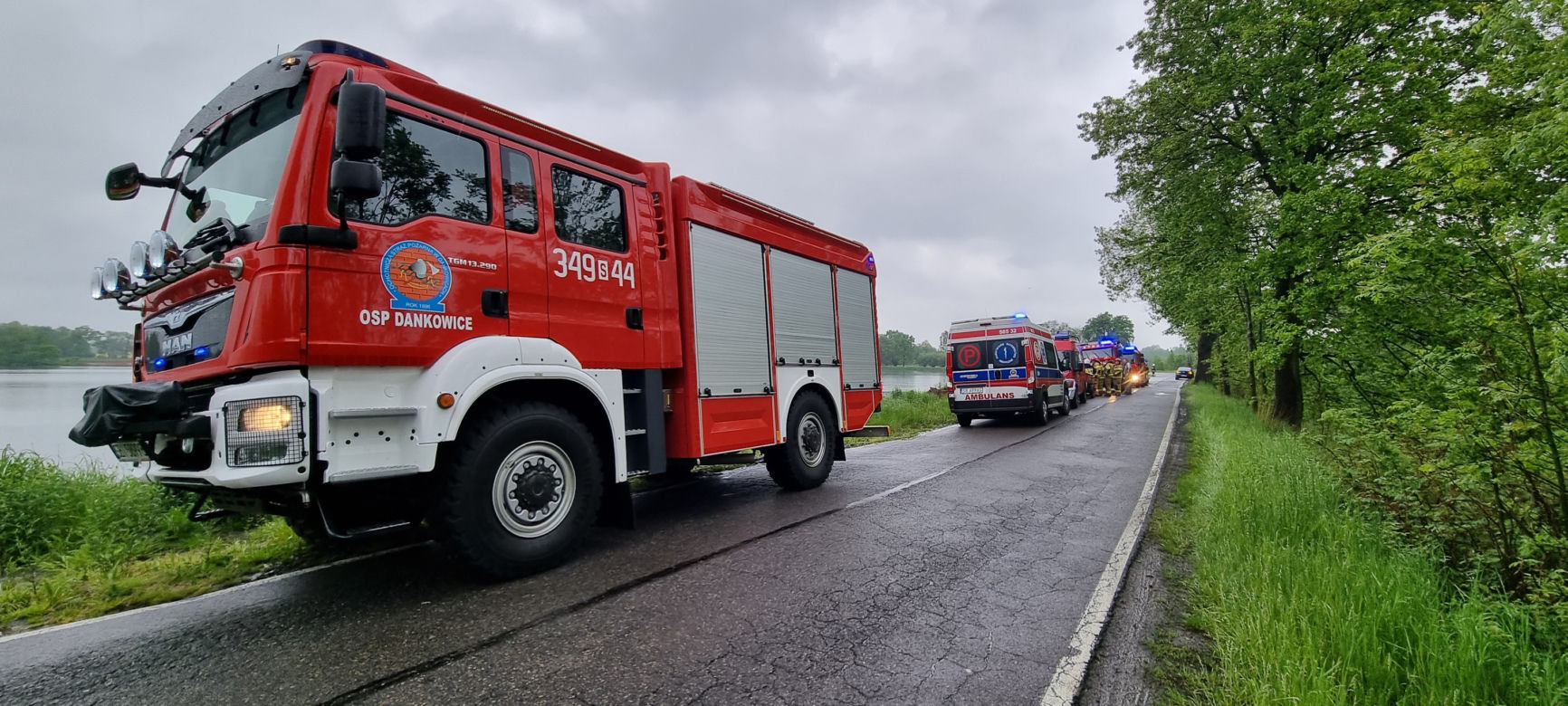 Koszmar w Dankowicach
