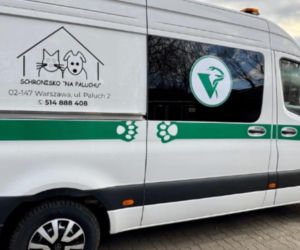 To pierwsza taka karetka w Polsce! Niezastąpiona, gdy liczą się minuty