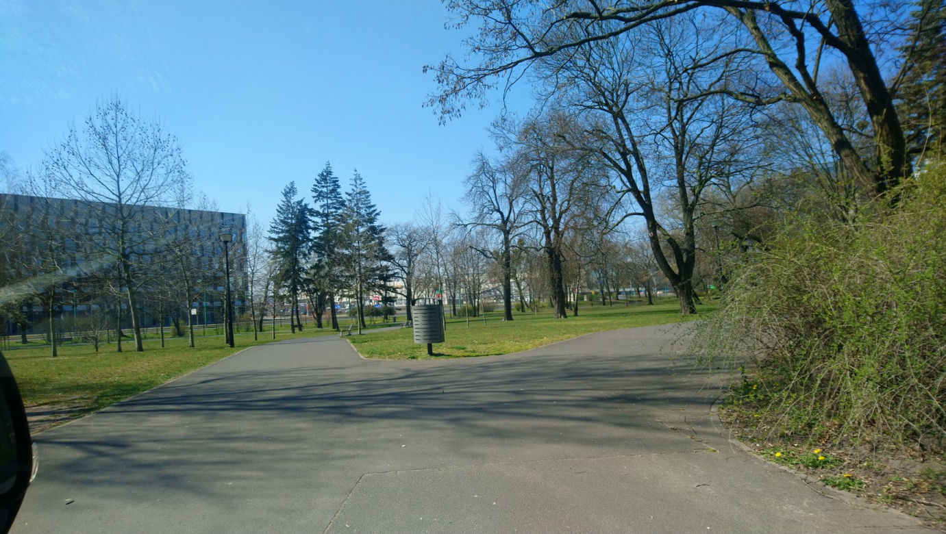 Czy poznaniacy stosują się do zakazów? Zaskakujące dane Straży Miejskiej! [ZDJĘCIA]