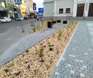 Park kieszonkowy, Siedlce, sala Podlasie