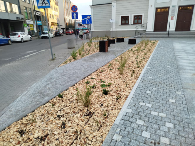 Park kieszonkowy, Siedlce, sala Podlasie