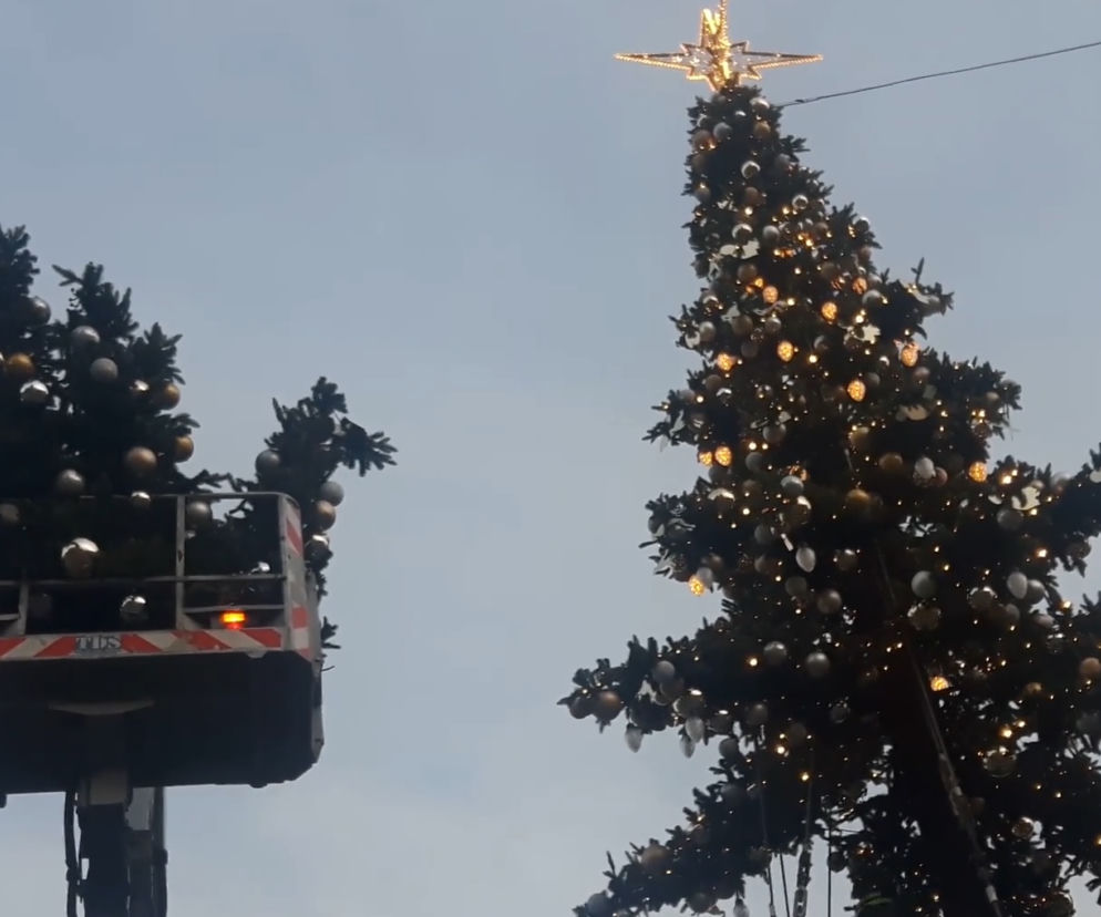 Już w niedzielę w Łodzi rozbłyśnie jedna z największych choinek w Polsce