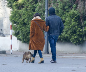 Wieniawa i Królikowski razem na spacerze z psem