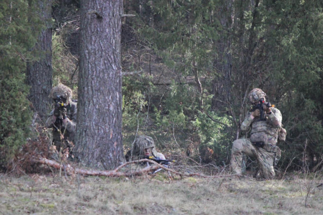 Brytyjscy żołnierze, ćwiczenia na poligonie