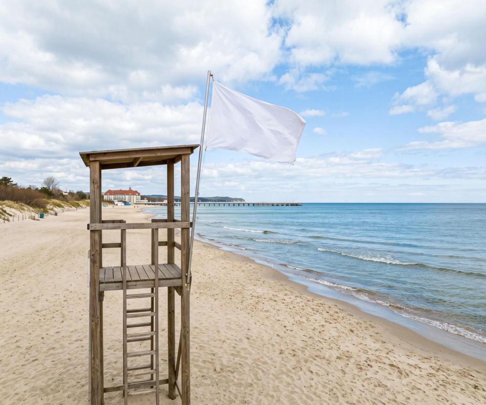 Sinice Sopot. Czy w Sopocie można się kąpać 28.08? Flaga, warunki pogodowe