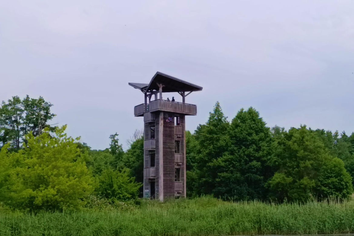 Tramwaj wodny Szczecin - Mescherin - Gartz