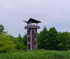 Tramwaj wodny Szczecin - Mescherin - Gartz