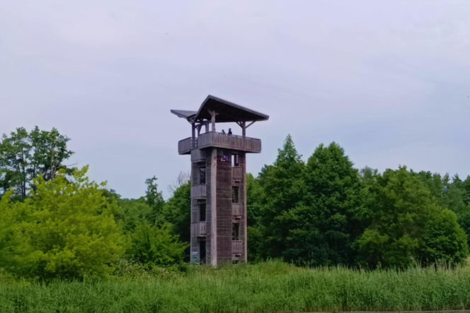 Tramwaj wodny Szczecin - Mescherin - Gartz