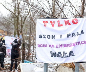 Miał być protest milczenia, doszło do awantury. Gorąco pod schroniskiem w Bytomiu