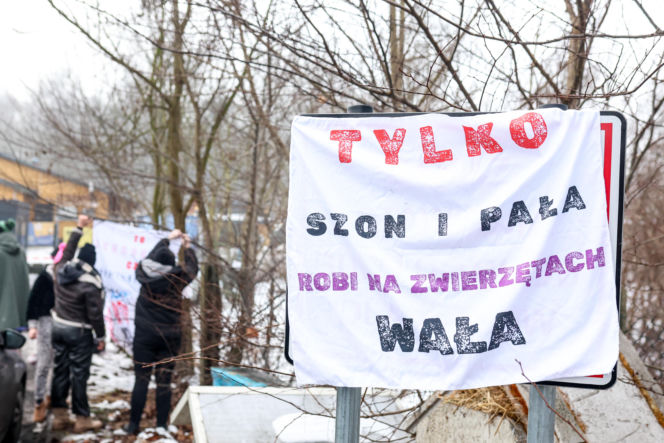 Miał być protest milczenia, doszło do awantury. Gorąco pod schroniskiem w Bytomiu