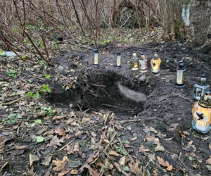 Zabił kolegę, poćwiartował i wyniósł w walizce. Szczątki zakopał w parku miejskim. Biegli nie mają wątpliwości