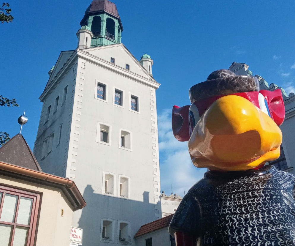 Gryfusy na ulicach Szczecina