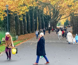 Wszystkich Świętych 2021 na Cmentarzu Centralnym w Szczecinie