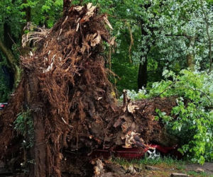 Krajobraz jak po apokalipsie! Potężna burza w Dęblinie. Drzewa miażdżyły samochody