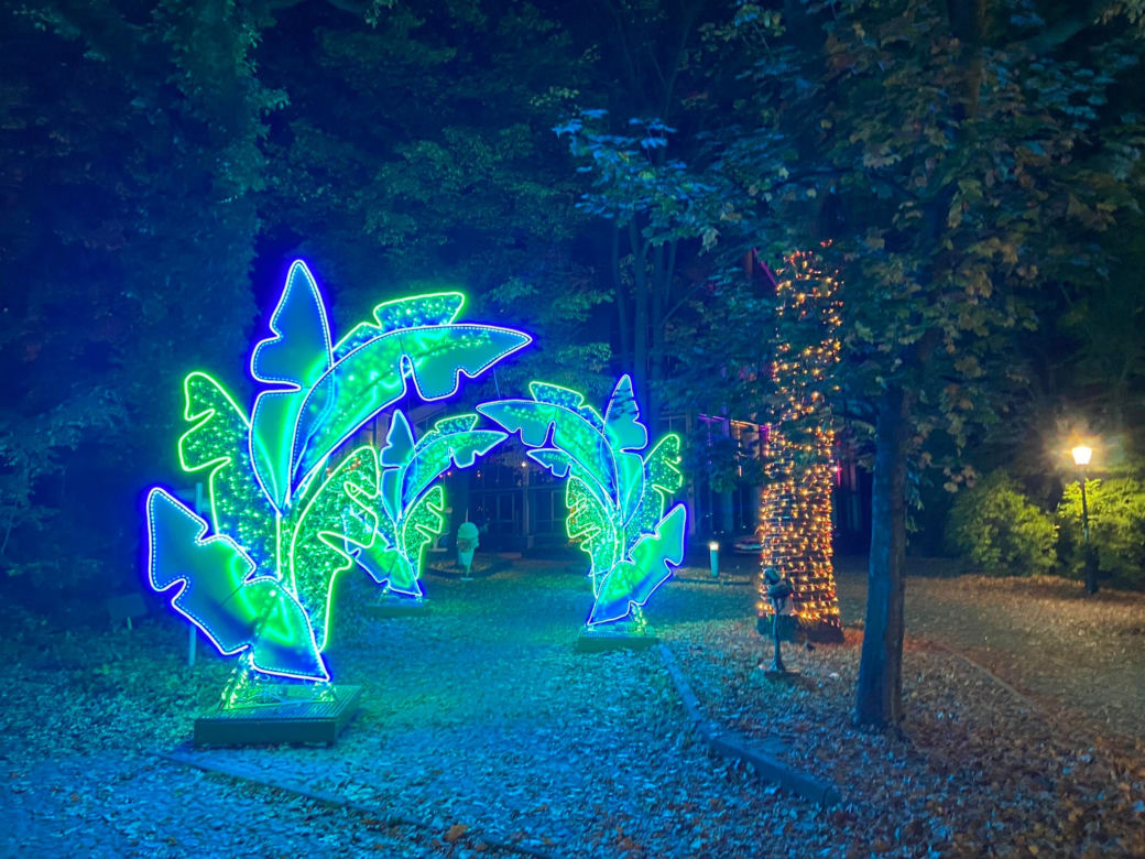 Park Miliona Świateł powraca! Zobacz, jak się prezentuje